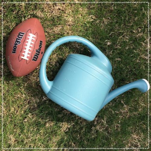 Our watering can getting in on the action by catching a football.